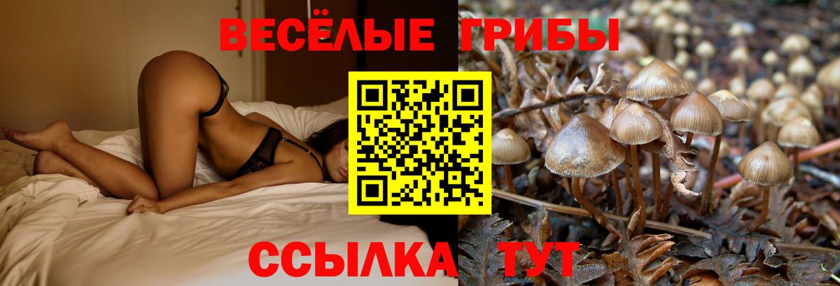 Галлюциногенные грибы Cubensis Юрга